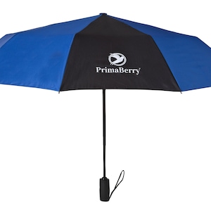 Idées cadeaux pour Noël, Cadeau de voyage, Parapluie robuste, Parapluie automatique minimaliste, Parapluie pliable noir imperméable, Parapluie à ouverture automatique