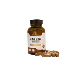 Cápsulas de Cogumelo Chaga: Suplemento Alimentar Natural Artesanal