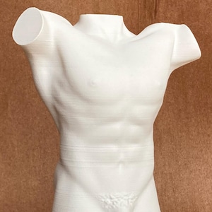 White Male Torso Sculpture — Matte Plaster Style — Figurative Art Object