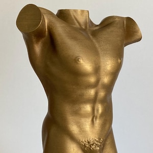 Male Torso Sculpture in Antique Bronze Color Author's Work