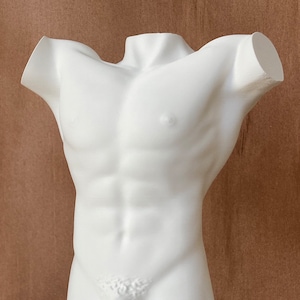 Male Torso Sculpture Author&#39;s Work