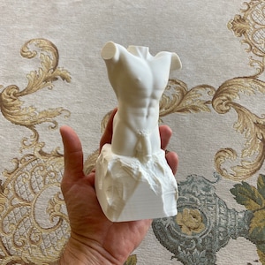 Male Torso Figurine 150mm