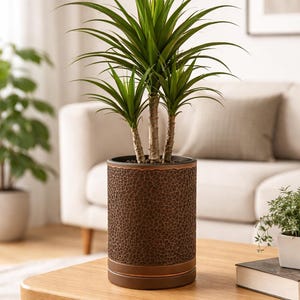 May include: A houseplant with long, green leaves in a brown, textured pot. The pot has a decorative band and sits on a wooden table. The plant has multiple stems and is in a well-lit room. The pot is approximately 25 cm in height.