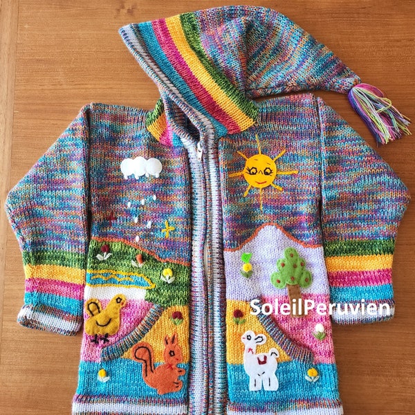 Rainbow Children peruvian hoodie sweater, Unique Peru Kids Wool Cardigan, Peruvian toddler wool jacket, Toddler embroidered sweater kids