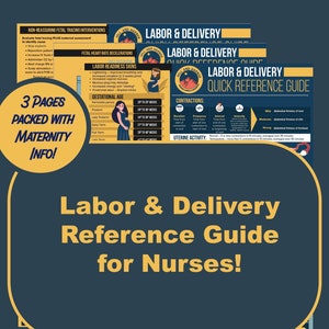 Labor & Delivery Nursing Quick Reference Guide - INSTANT DOWNLOAD