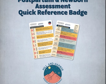 Postpartum & Newborn Assessment Badge Mother baby labor nursing