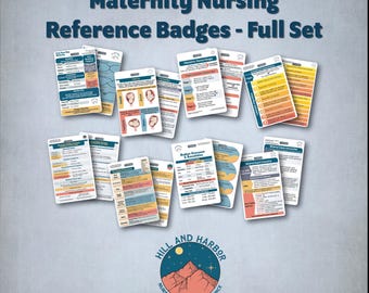 Maternity Nursing Reference Badges: Labor & Delivery, Postpartum Assessment, Nursing Gift, AWHONN Guidelines, badge buddy, fetal monitoring