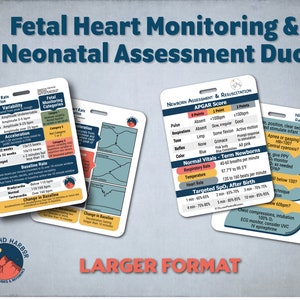 Fetal Heart Monitoring & Newborn Assessment Badge Cards - Large Format