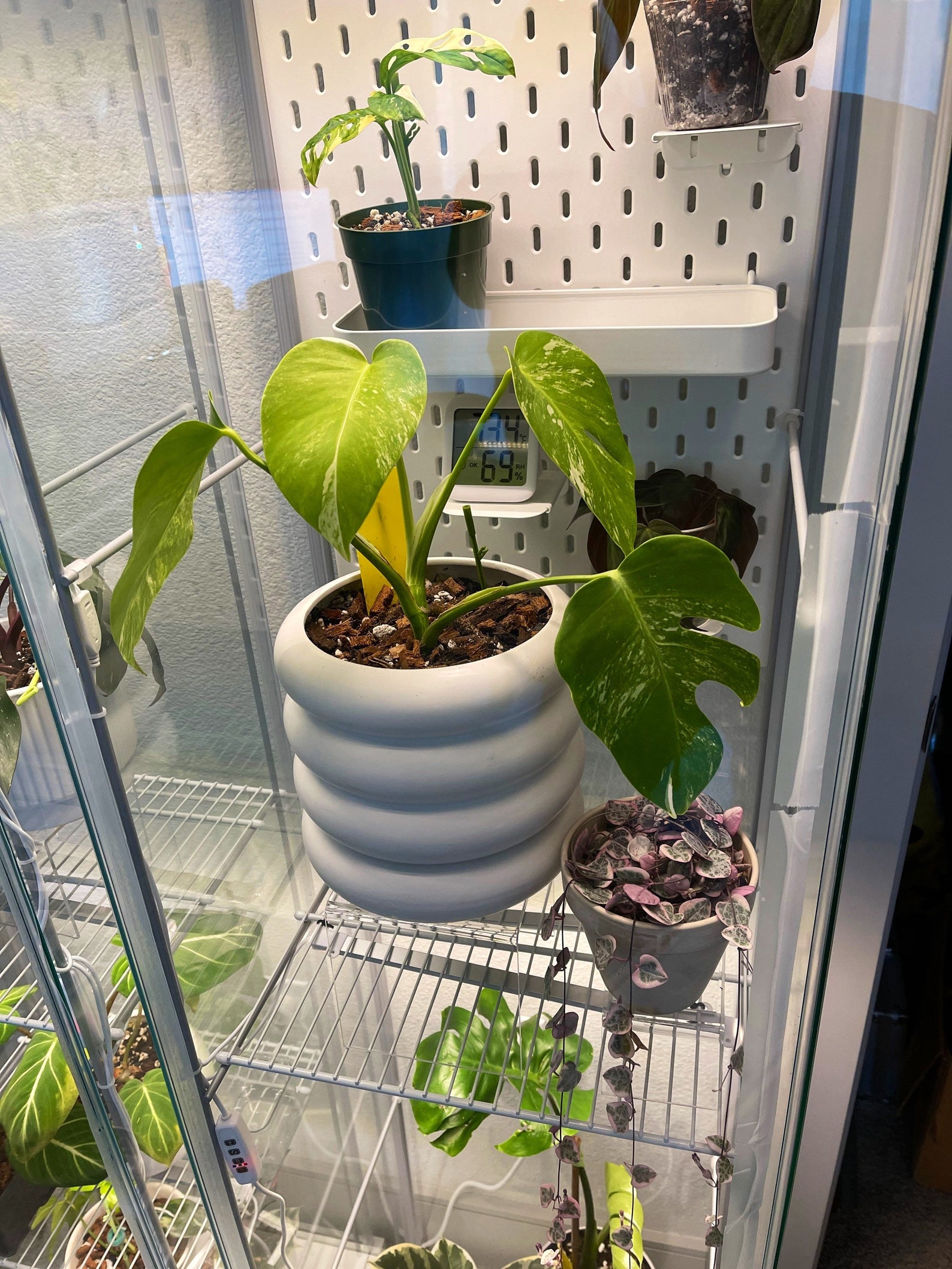 IKEA Detolf Wire Rack Shelf Inserts for DIY Indoor Greenhouse Green