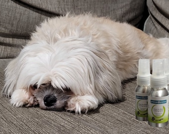 Natural, essential oil calming spray for pets, anxiety spray, dog spray