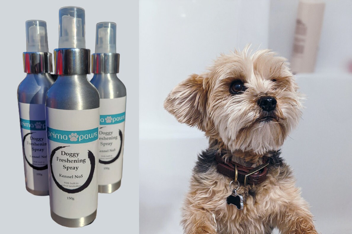 Kennel no 5 dog perfume hotsell