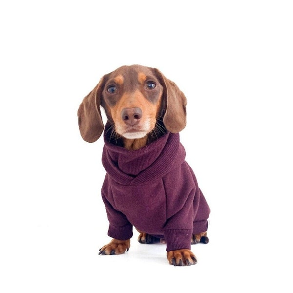 Dachshund hoodie for dogs clearance