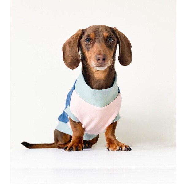 Miniature Dachshund Clothes - Etsy
