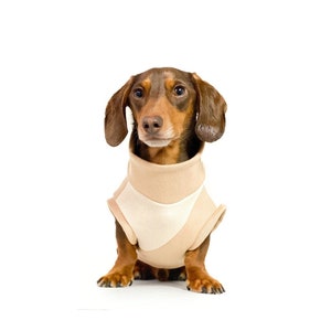 Dachshund clothes | Two-toned neutral sweater | spring and summer