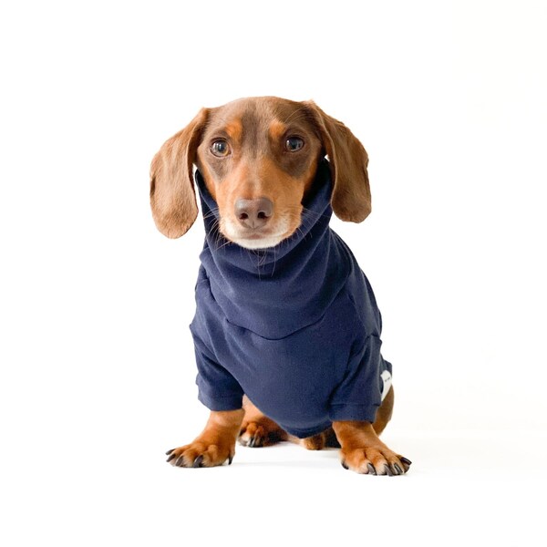 Wiener Dogs Etsy Canada