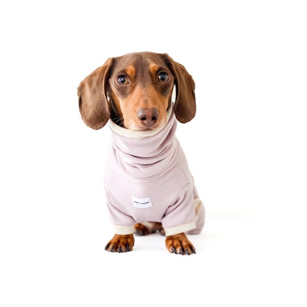 Dachshund Pajamas Etsy