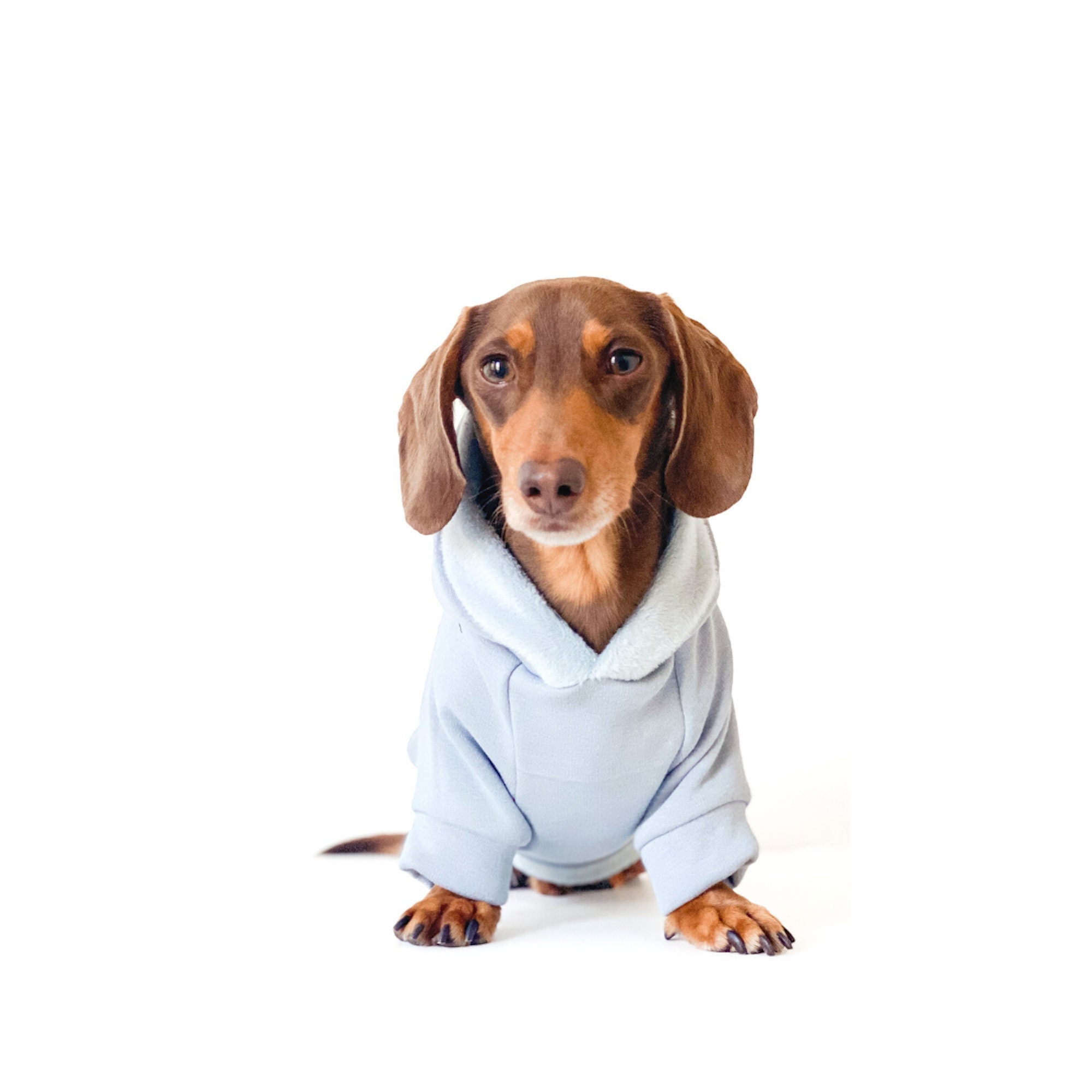 christmas weiner dog pjs