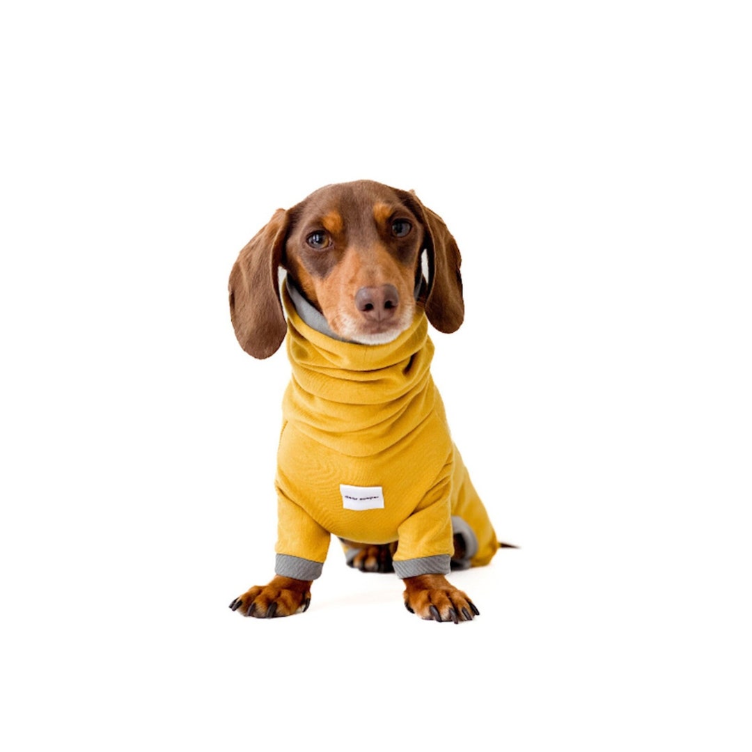 Dachshund Onesie dawn Dachshund Pajama in Fleece Etsy