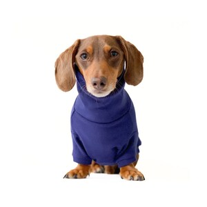 Dachshund sweaters, Bamboo Fleece pullover turtleneck sweater for wiener dogs