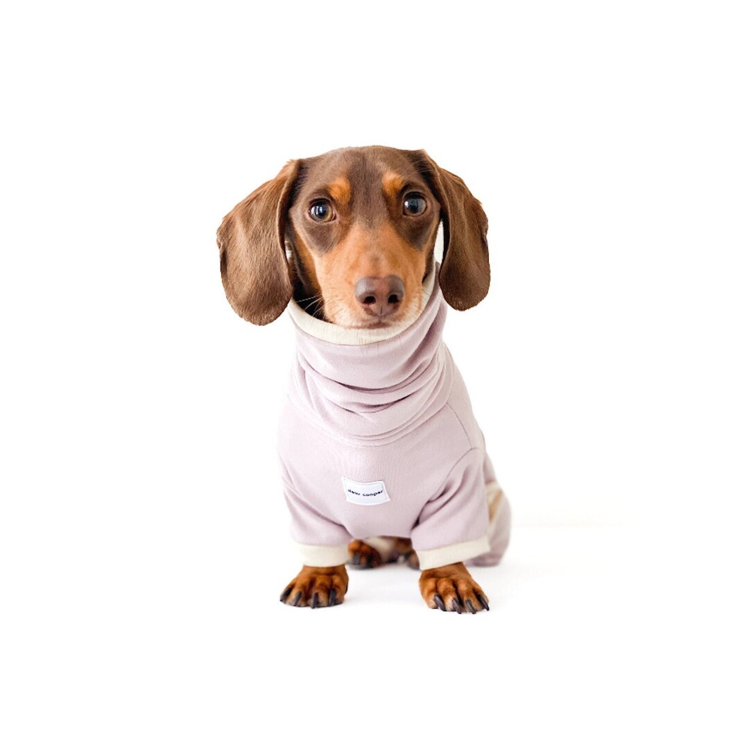 Dachshund Onesie in Lilac Color Lightweight for Spring Days Etsy