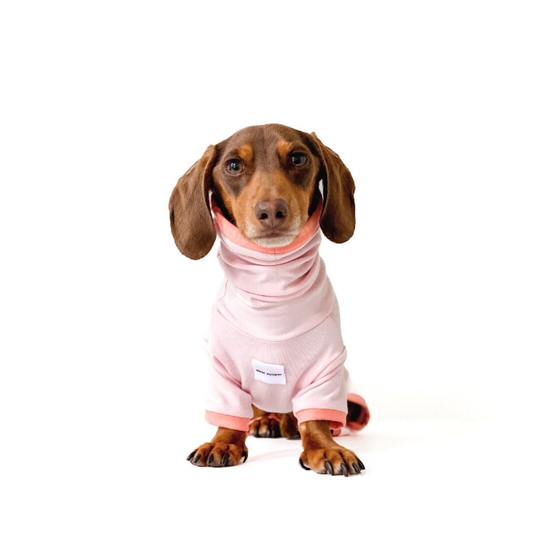 Dachshund Onesie Light Weight for Spring Days Dachshund Etsy