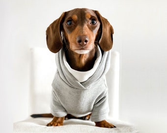 dachshund apparel