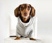 Dachshund turtleneck hoodie, dog sweaters for wiener dogs 