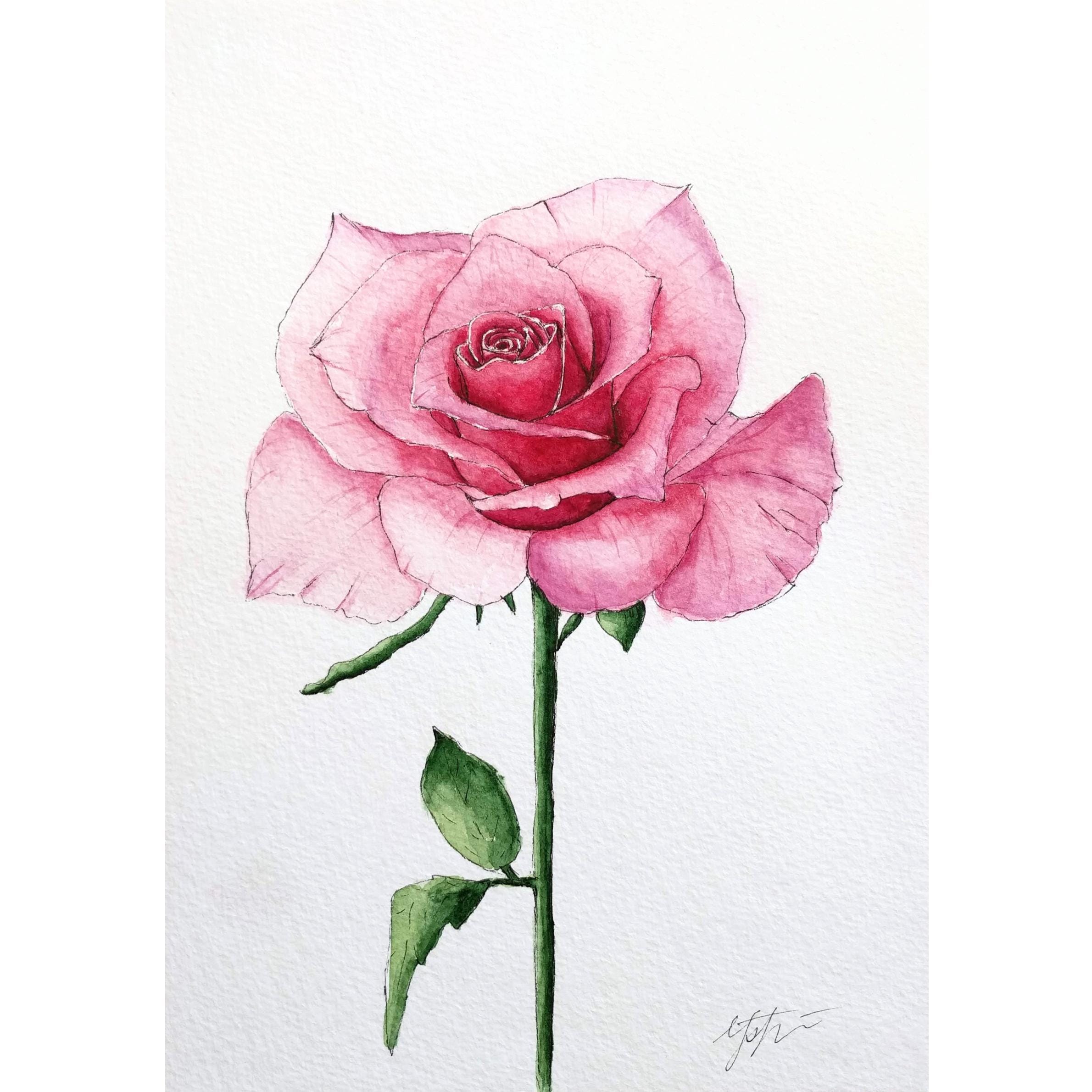 デザイン アート　ピンクの薔薇　切り絵　美　内なる宇宙　潜在意識 il_fullxfull.6402768580_oz8t.jpg