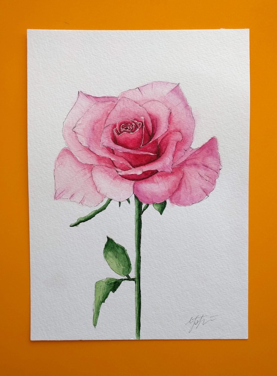 ピンクのバラ、オリジナル水彩画、サイズ 24 x 18 cm、水彩紙 300 g