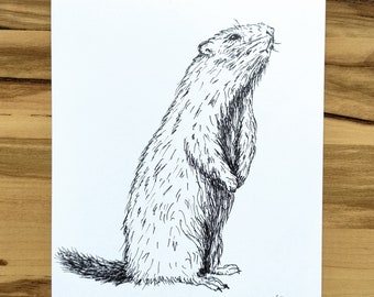 Marmot, original graphics, size 21x14.8 cm (A5), paper 200g