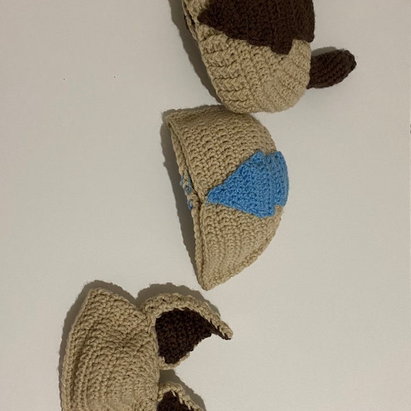 The Last Airbender family beanies