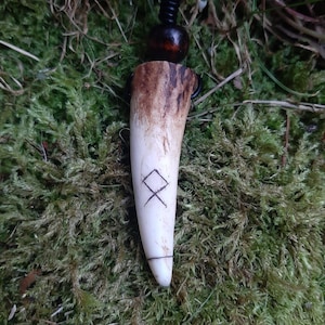 May include: A white antler pendant with a black leather cord and a brown wooden bead. The antler has a carved symbol on it.
