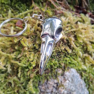 May include: A polished silver-toned metal keychain featuring a detailed bird skull pendant with a long, pointed beak and hollow eye sockets, attached to a standard circular metal split ring for keys.