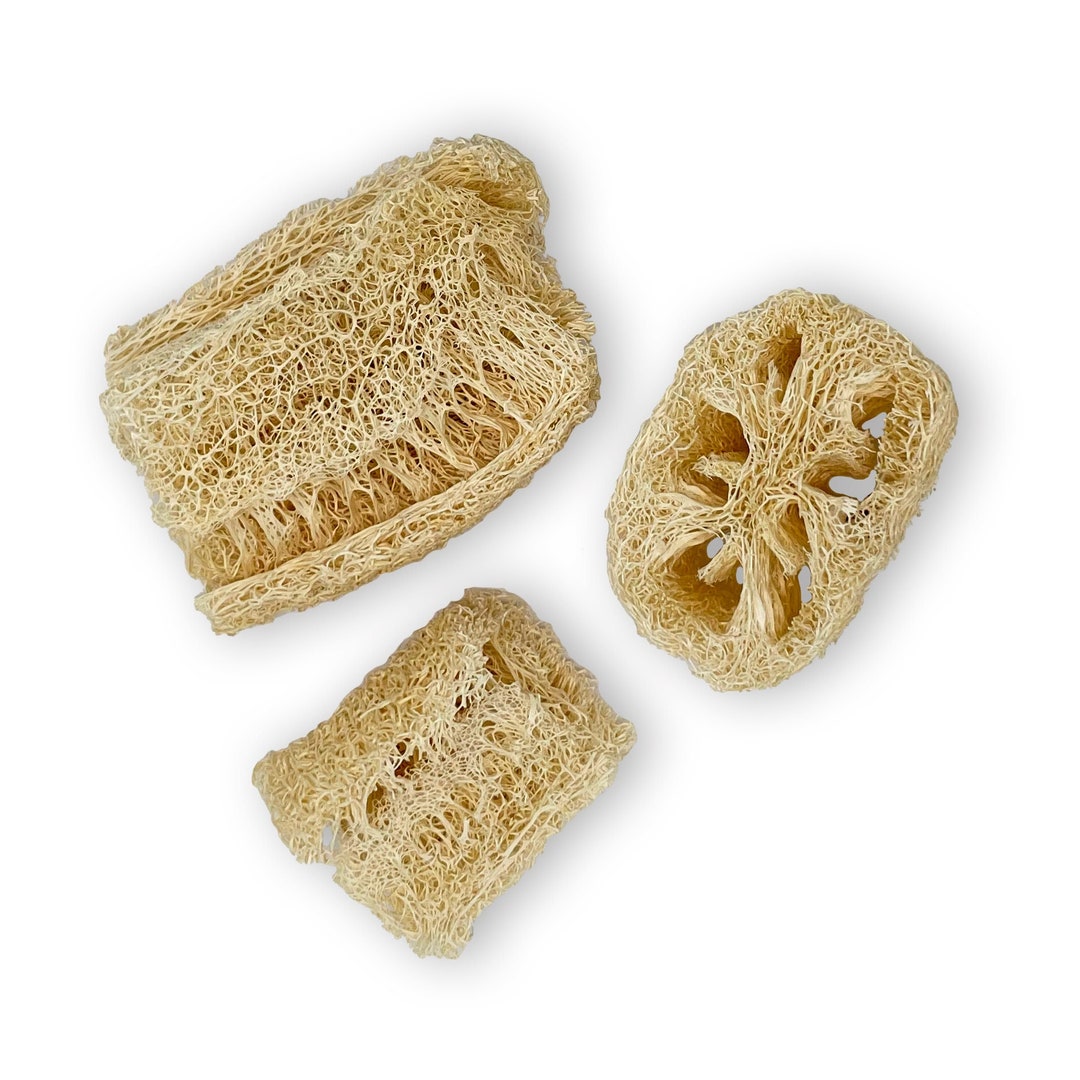 For Scrubbing Organic Loofah Gourd 3 Count Luffa Vegetable Sponges