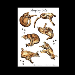 Sleeping Cats Sticker Sheet – Cute Cat Stickers for Planners, Laptops, and Journals
