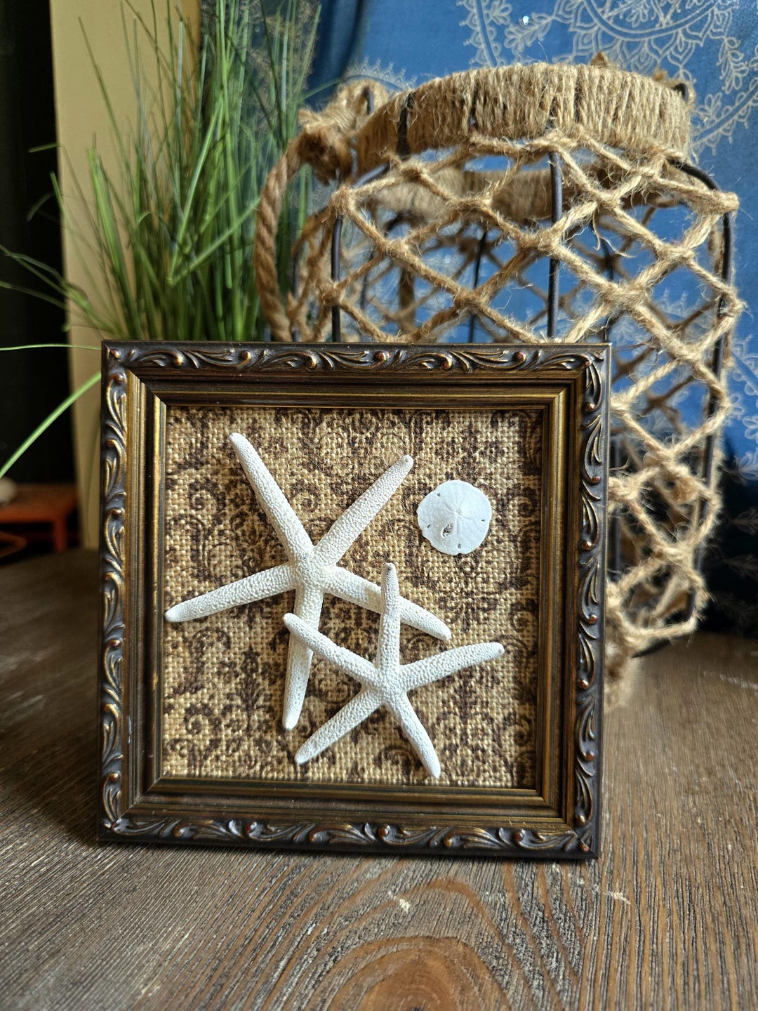 Framed Starfish & Sand Dollar Wall Art: Vintage Beach Coastal Decor - Etsy