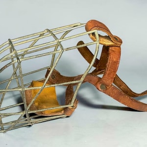 May include: A dog muzzle featuring a silver-toned metal wire cage construction with brown leather straps and a padded leather nose guard. The design includes adjustable buckles and a series of interconnected metal bars forming a protective basket.
