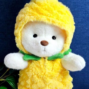 Pineapple Costume, Luna Bear Clothes, Cute Bear, Bear Dress, Bear Outfit, Costumes