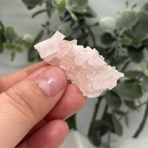 Puede incluir: Un trozo de cristal de halita rosa claro en bruto, sostenido en una mano. El cristal tiene una superficie rugosa y texturizada y una estructura cristalina. Se ve follaje verde en el fondo.