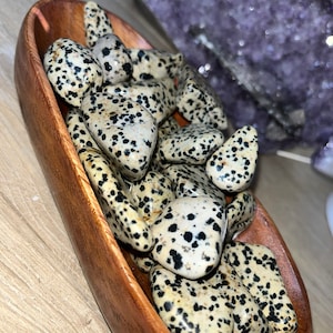 Dalmatian Jasper Tumbled