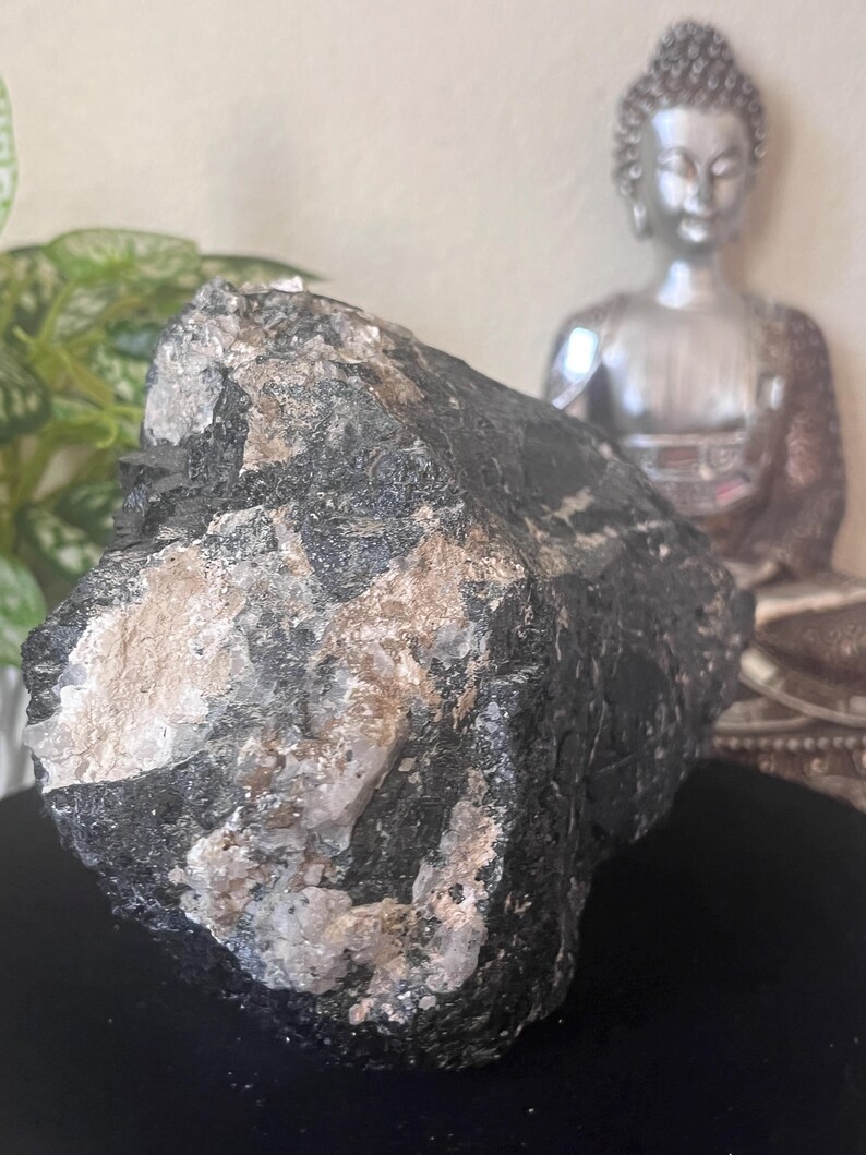 Może przedstawiać: Duży, surowy kryształ czarnego turmalinu z białymi i beżowymi wrostkami kwarcu. Surowy okaz mineralny jest prezentowany na rozmytym tle ze srebrną statuą Buddy i zielonymi liśćmi.