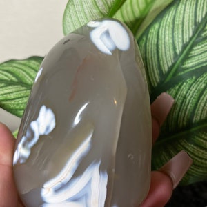 Orca Agate Freeform Crystal