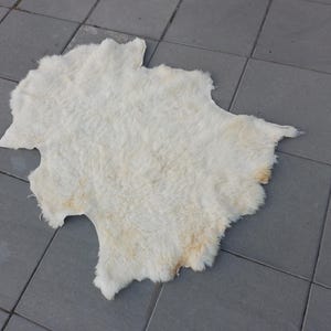 Op de afbeelding: Een crème kleurige schapenvacht tapijt met een onregelmatige vorm. Het tapijt heeft een zachte, donzige textuur en een natuurlijk uiterlijk. De randen zijn ongelijkmatig en het ligt op een grijze tegelvloer.