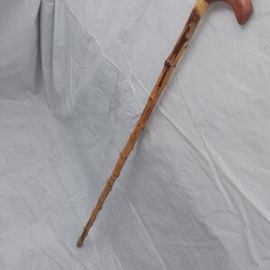 Handcrafted Heirloom: Natural Applewood Walking Stick – One of a Kind Ş6NR