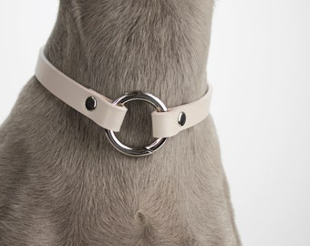 House collar/ tag holder-various colors