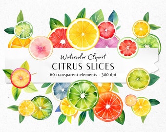 60 Juicy Citrus Watercolor Clipart - Lemon, Orange, Grapefruit, Lime, and Leaves - Summer Vibes - Instant Download - Commercial Use