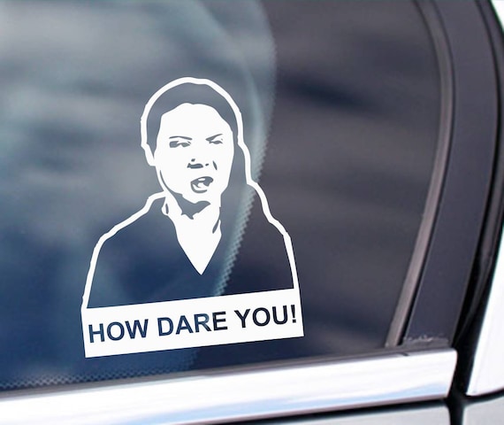 2x How dare you Greta thunberg stickers decals bumper window decal fuel cap lid