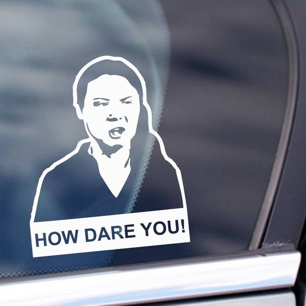 2x How dare you Greta thunberg Sticker Aufkleber Aufkleber Autoaufkleber Fensteraufkleber Tankdeckel Deckel