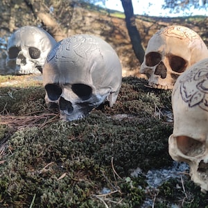 Major Arcana DEATH. Tarot