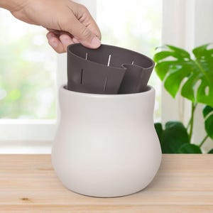 May include: A white ceramic planter with a dark gray inner pot being inserted. The planter has a rounded shape and sits on a wooden surface. The background includes a window and green foliage.